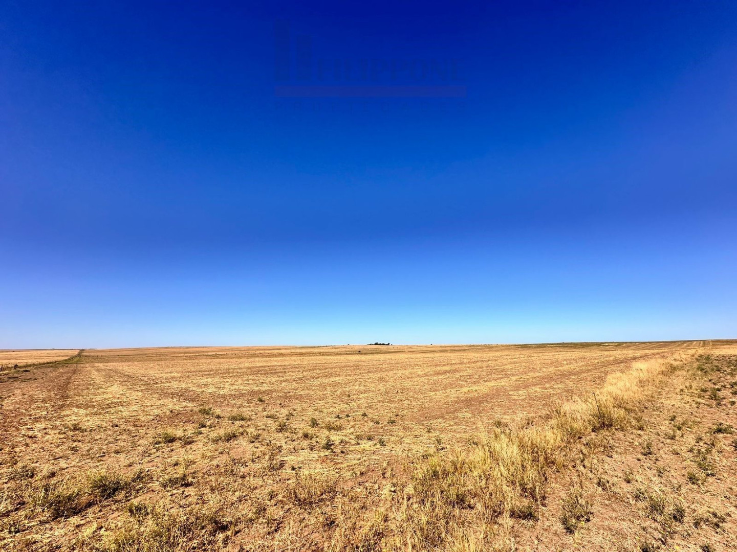 Campo  en Venta en Ruta 35,  Bahía Blanca - Bahía Blanca Propiedades | SITIO OFICIAL l