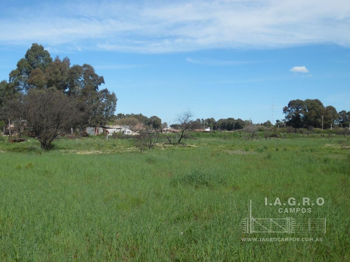 Terreno en Venta en Sixto Laspiur Y Ugarte,  Bahía Blanca - Bahía Blanca Propiedades | SITIO OFICIAL l
