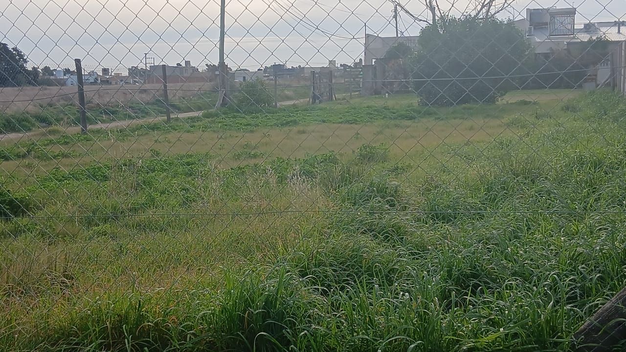 Terreno en Venta en Rigamonti Y Pigue, Villa Belgrano, Bahía Blanca - Bahía Blanca Propiedades | SITIO OFICIAL l