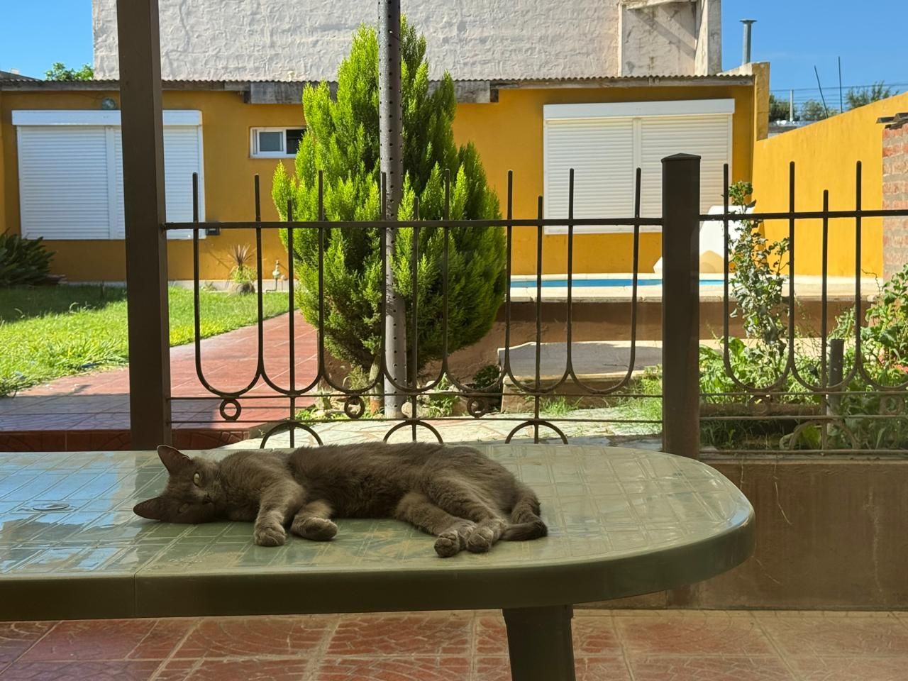 Casa en Venta en Bouchard 1856,  Bahía Blanca - Bahía Blanca Propiedades | SITIO OFICIAL l
