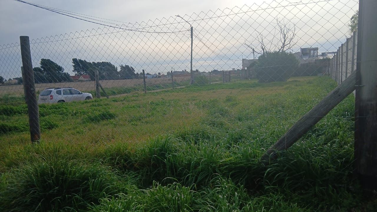 Terreno en Venta en Rigamonti Y Pigue, Villa Belgrano, Bahía Blanca - Bahía Blanca Propiedades | SITIO OFICIAL l