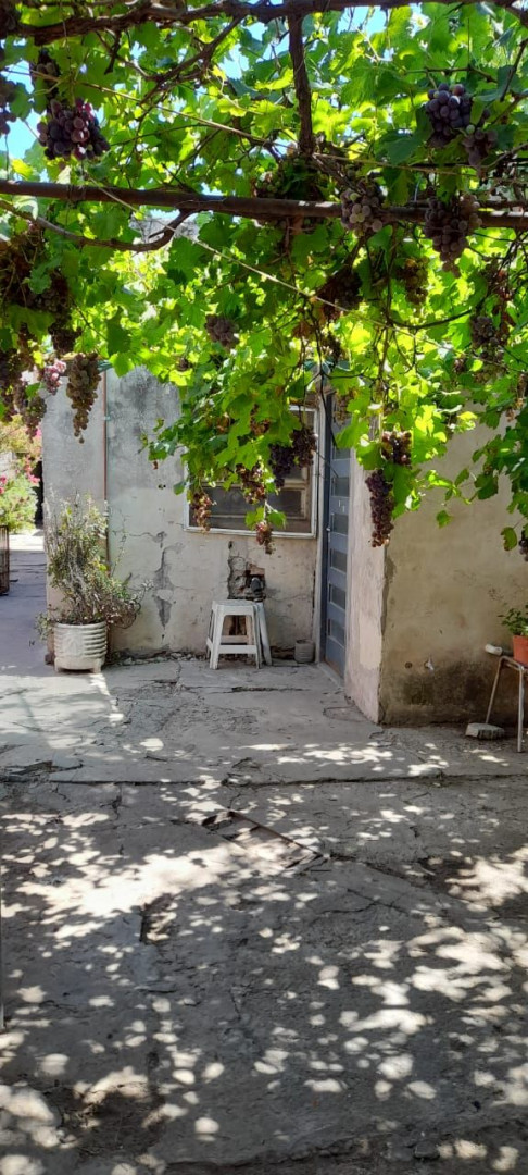 Casa + Departamento en Venta en Libano 969, Noroeste, Bahía Blanca - Bahía Blanca Propiedades | SITIO OFICIAL l
