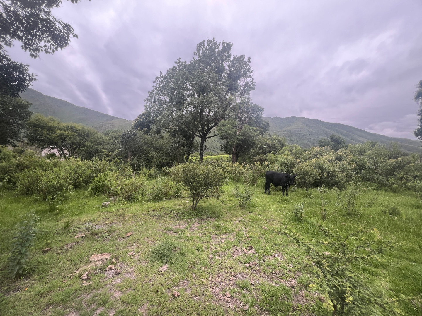 Terreno en Venta en Barcena,  Tumbaya - Jujuy - Bahía Blanca Propiedades | SITIO OFICIAL l