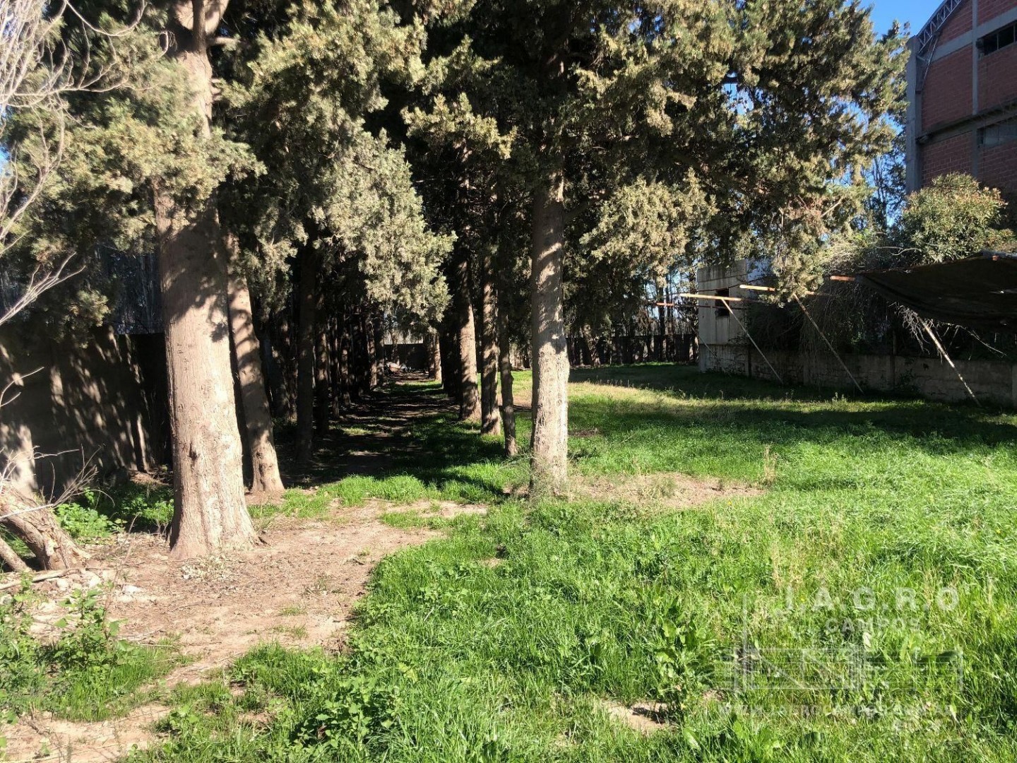 Galpón en Venta en Rincon 4000, Rosendo Lopez, Bahía Blanca - Bahía Blanca Propiedades | SITIO OFICIAL l