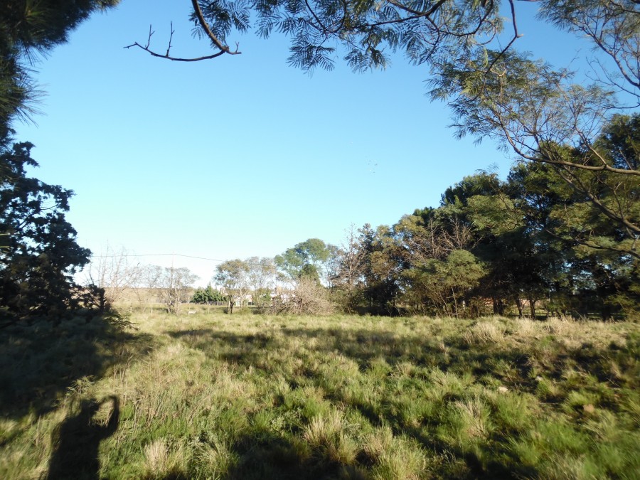 Terreno en Venta en Barrio Los Muñecos, Los Muñecos, Bahía Blanca - Bahía Blanca Propiedades | SITIO OFICIAL l