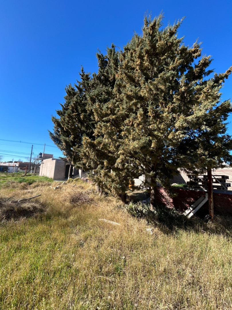 Terreno en Venta en Bullrich 1645, Millamapu, Bahía Blanca - Bahía Blanca Propiedades | SITIO OFICIAL l