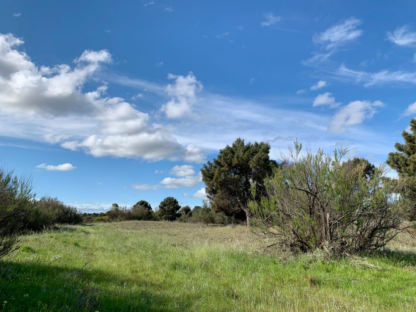 Terreno en Venta en Los Zorzales Y Flamencos, Monte del Este, Monte Hermoso - Bahía Blanca Propiedades | SITIO OFICIAL l