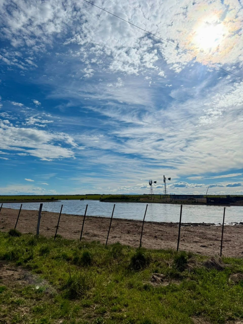 Campo  en Venta   Villalonga - Bahía Blanca Propiedades | SITIO OFICIAL l