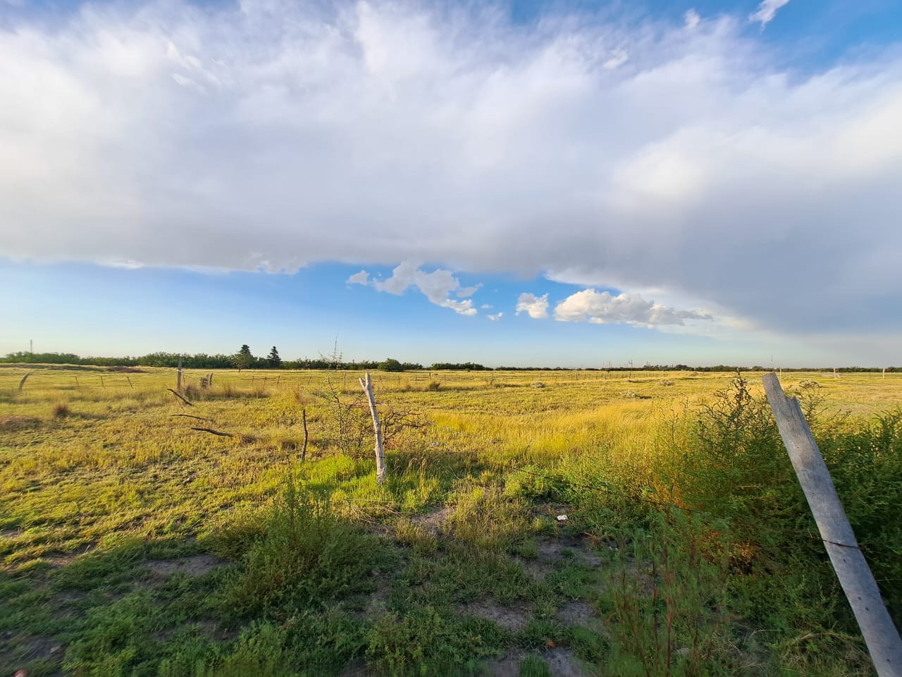 Terreno en Venta en Urquiza 1600,  General Cerri - Bahía Blanca Propiedades | SITIO OFICIAL l