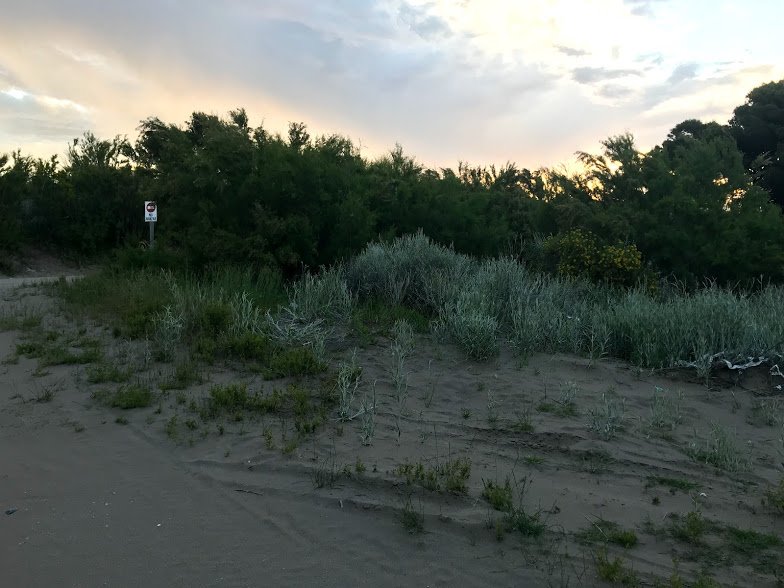 Terreno en Venta en Av. Avelino Gonzalez Martinez Esquina Bouchard,  Pehuen Co - Bahía Blanca Propiedades | SITIO OFICIAL l