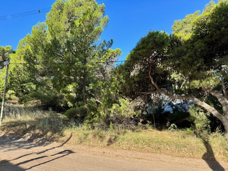 Terreno en Venta en Santa Clara Del Mar Y Punta Alta, El Sauce, Monte Hermoso - Bahía Blanca Propiedades | SITIO OFICIAL l