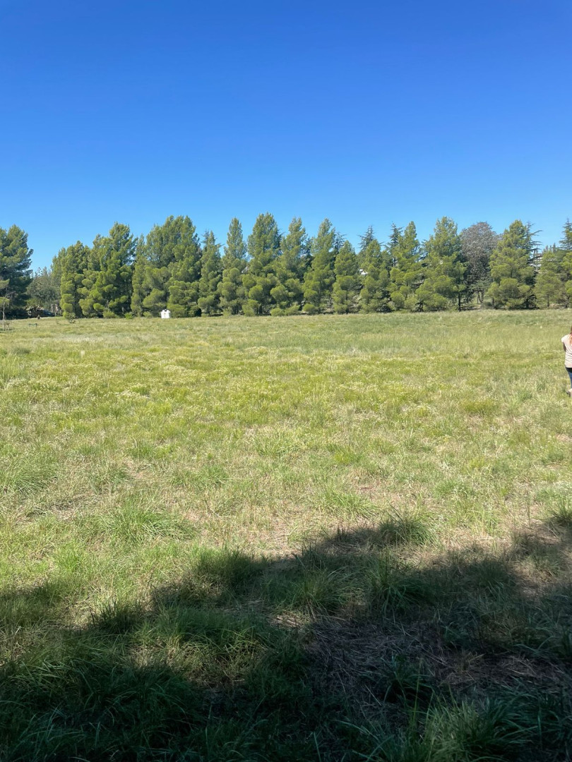 Terreno en Venta en LATANZIO 2700,  Bahía Blanca - Bahía Blanca Propiedades | SITIO OFICIAL l