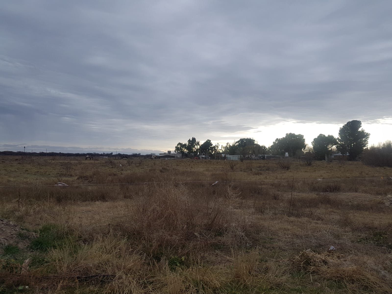 Terreno en Venta en Villa Bordeu,  Bahía Blanca - Bahía Blanca Propiedades | SITIO OFICIAL l
