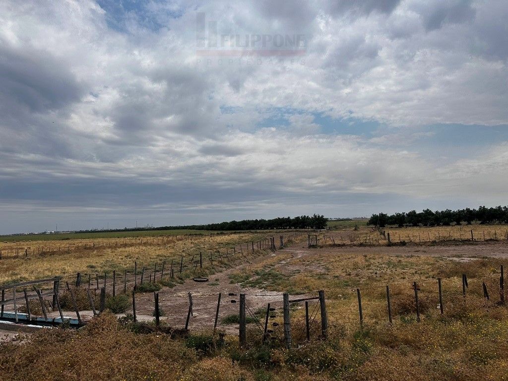 Campo  en Venta en Ruta Nacional 35 Km15,  Bahía Blanca - Bahía Blanca Propiedades | SITIO OFICIAL l