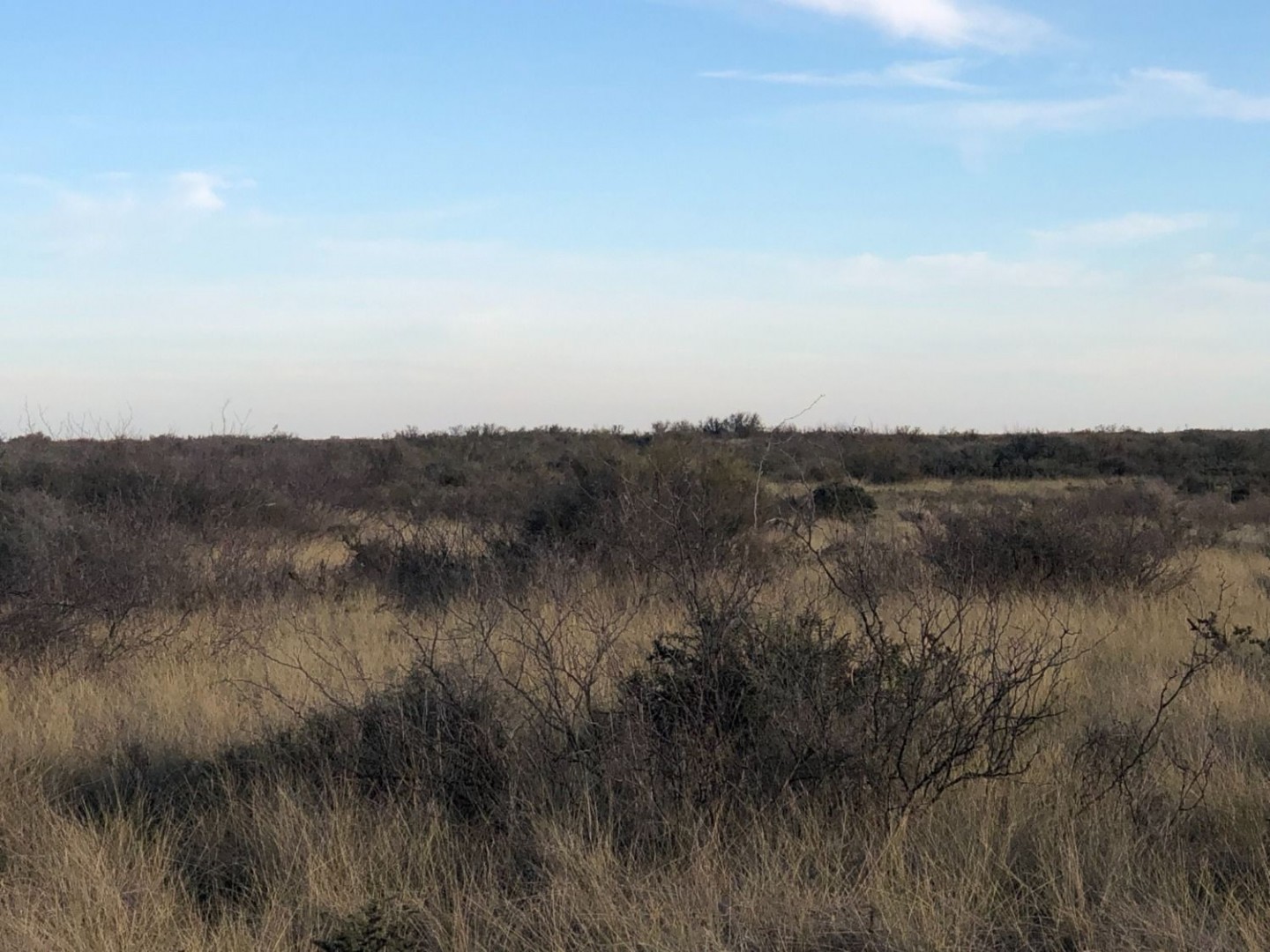 Campo  en Venta en Pradere,  Carmen de Patagones - Bahía Blanca Propiedades | SITIO OFICIAL l