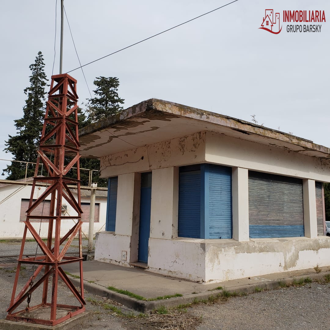 Campo  en Venta   Coronel Dorrego - Bahía Blanca Propiedades | SITIO OFICIAL l