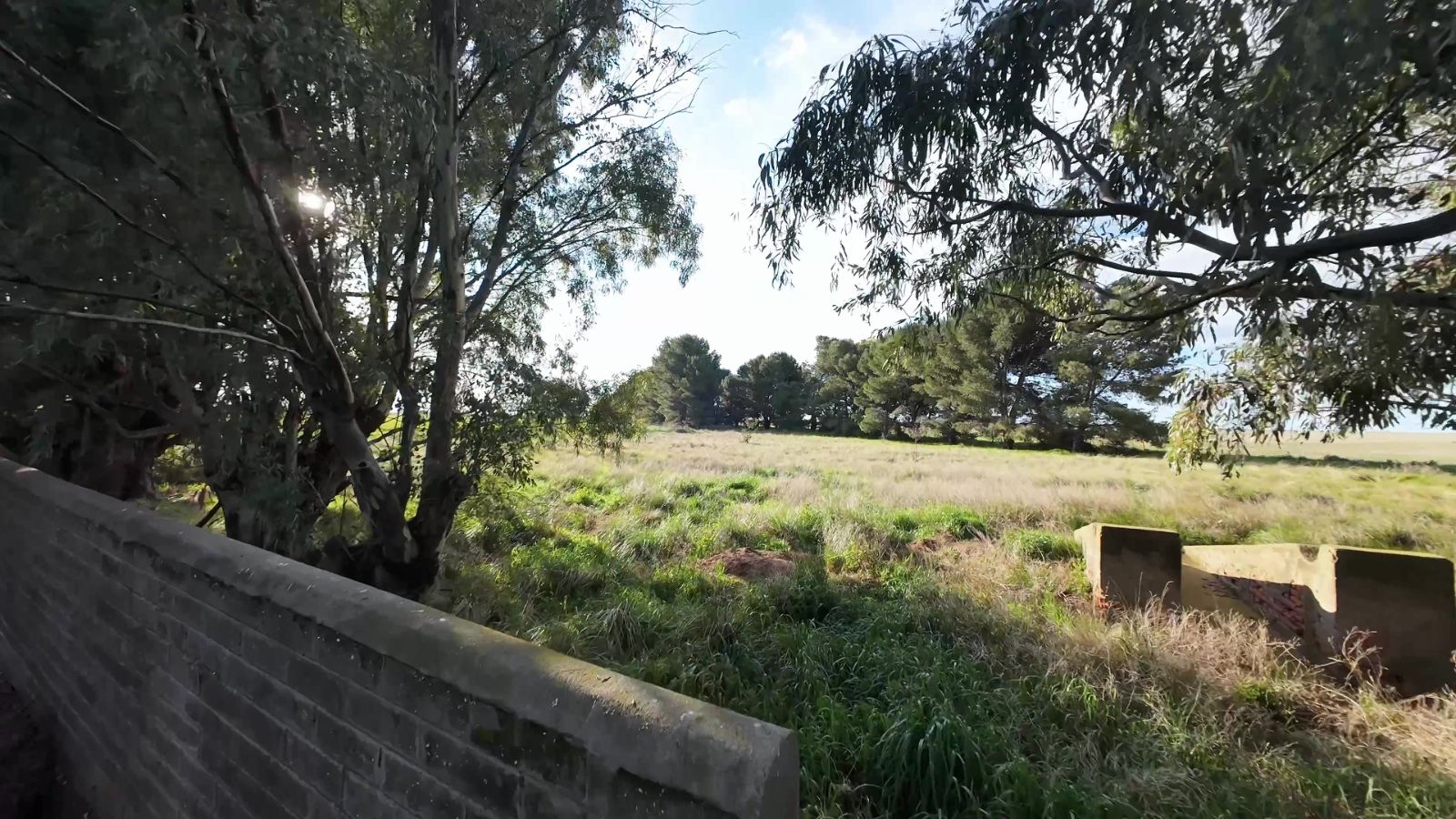 Campo  en Venta   San Romàn - Bahía Blanca Propiedades | SITIO OFICIAL l
