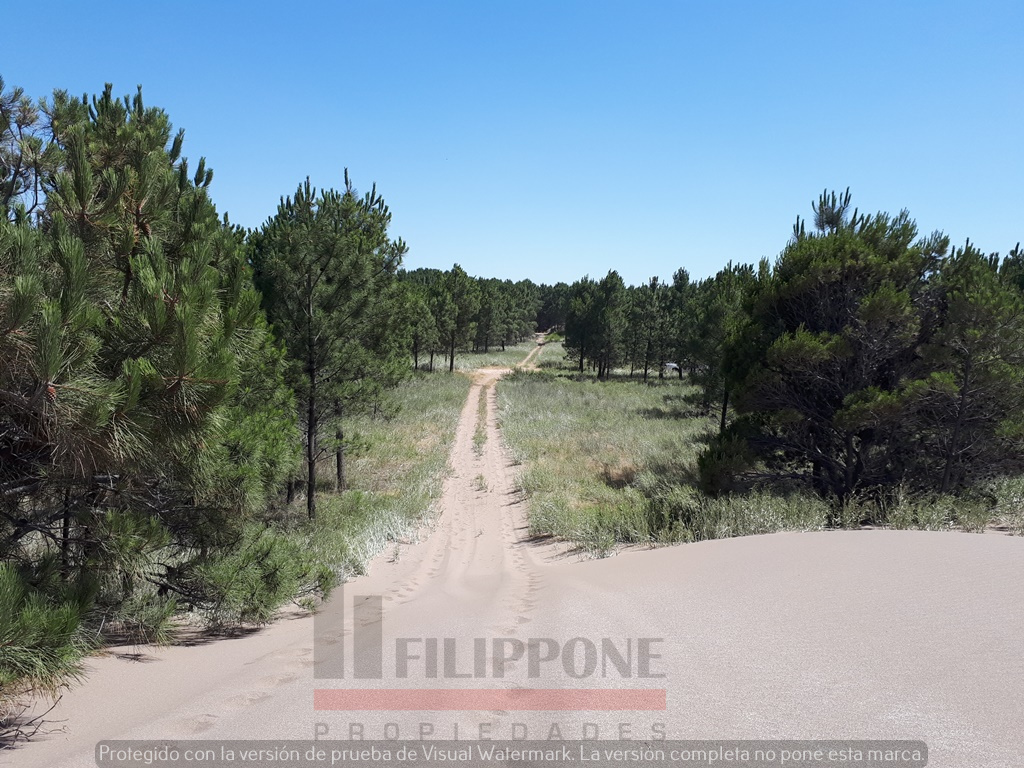 Terreno en Venta   Pehuen Co - Bahía Blanca Propiedades | SITIO OFICIAL l