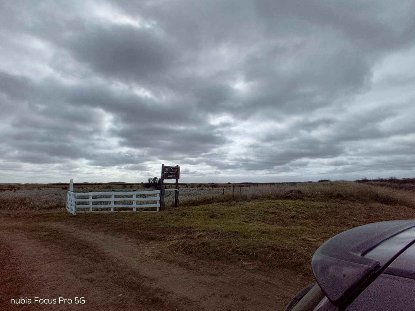 Campo  en Venta en Mayor Buratovich ,  Villarino - Bahía Blanca Propiedades | SITIO OFICIAL l