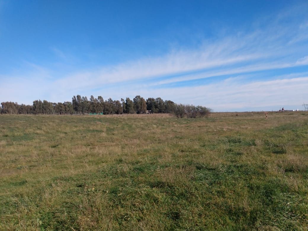 Terreno en Venta en Ruta 3 Km Norte, Pago Chico, Bahía Blanca - Bahía Blanca Propiedades | SITIO OFICIAL l