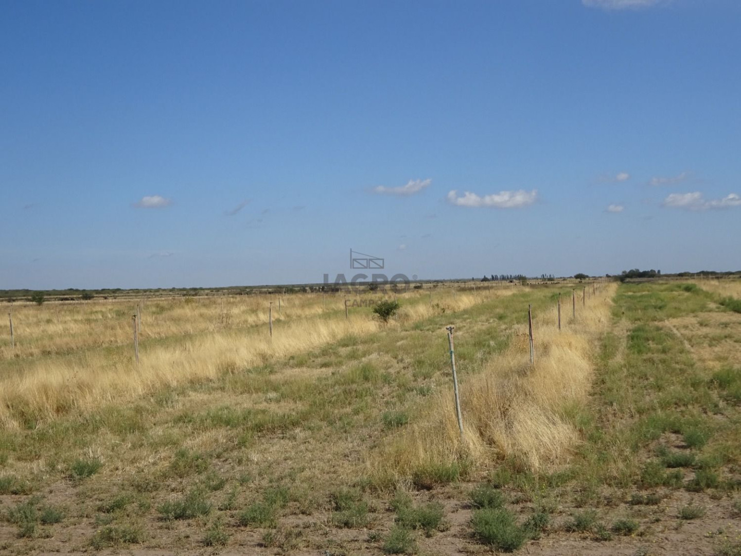 Campo  en Venta en Ruta Nacional 22,  Rio Colorado - Bahía Blanca Propiedades | SITIO OFICIAL l