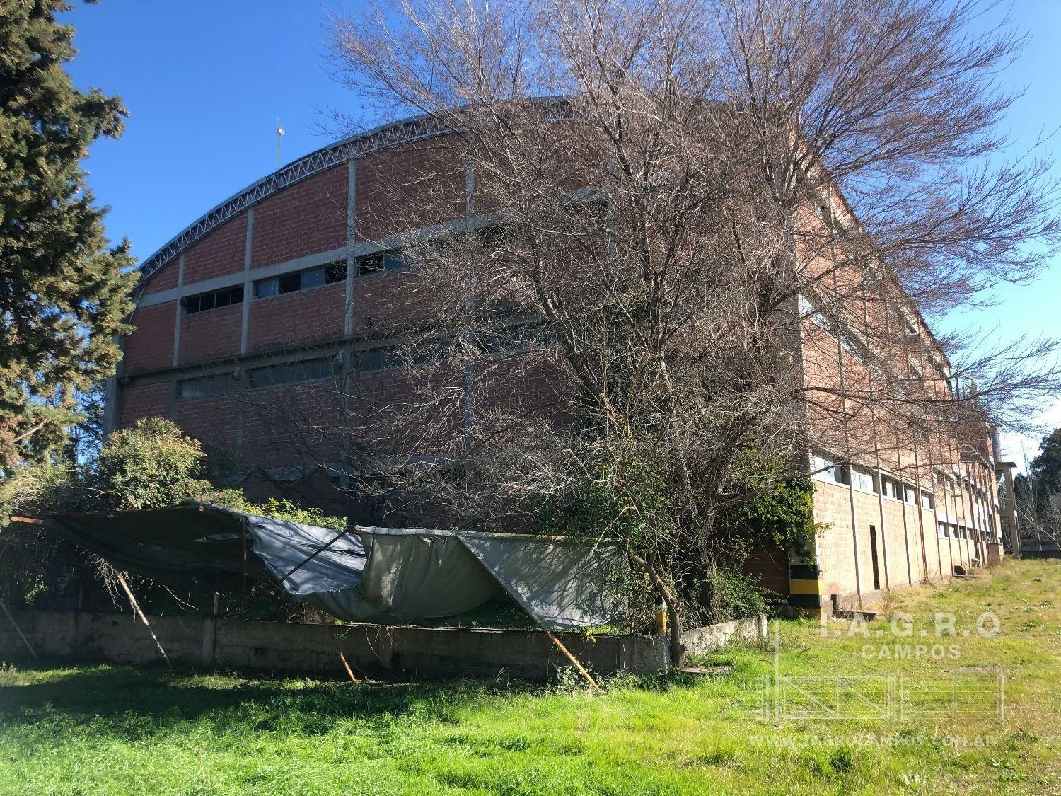 Galpón en Venta en Rincon 4000, Rosendo Lopez, Bahía Blanca - Bahía Blanca Propiedades | SITIO OFICIAL l