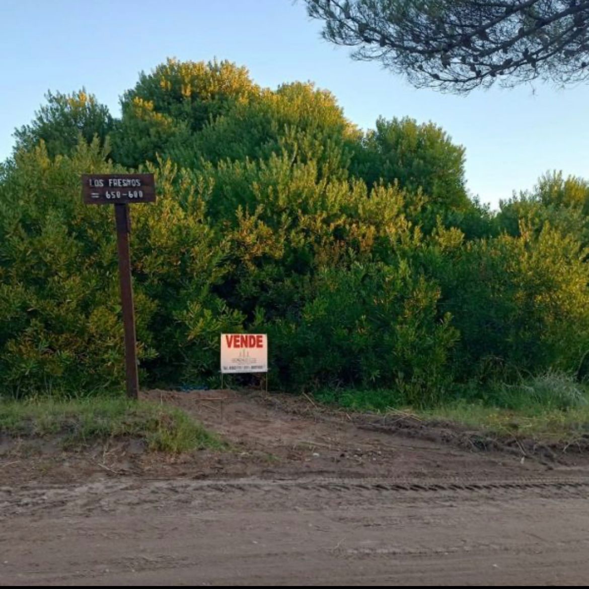Terreno en Venta en Los Fresnos 680, Monte del Este, Monte Hermoso - Bahía Blanca Propiedades | SITIO OFICIAL l