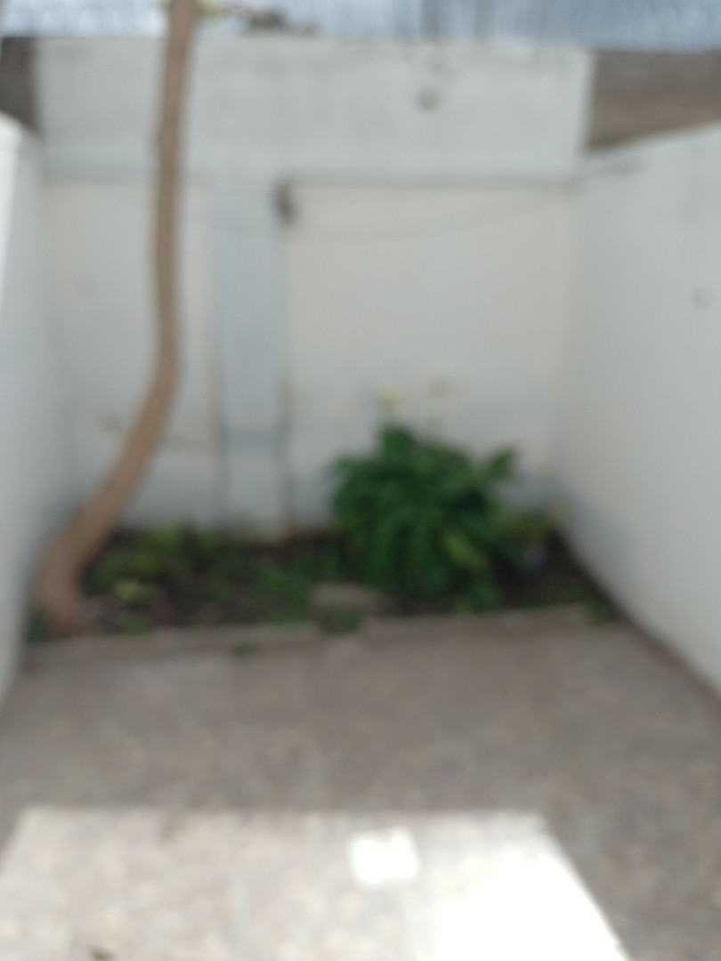 Departamento en Alquiler en Guillermo Torres 3100, Ingeniero White, Bahía Blanca - Bahía Blanca Propiedades | SITIO OFICIAL l