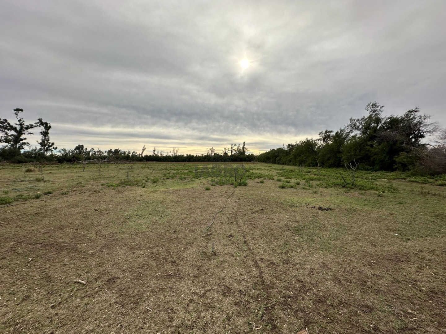 Campo  en Venta en Ruta 3,  Bahía Blanca - Bahía Blanca Propiedades | SITIO OFICIAL l