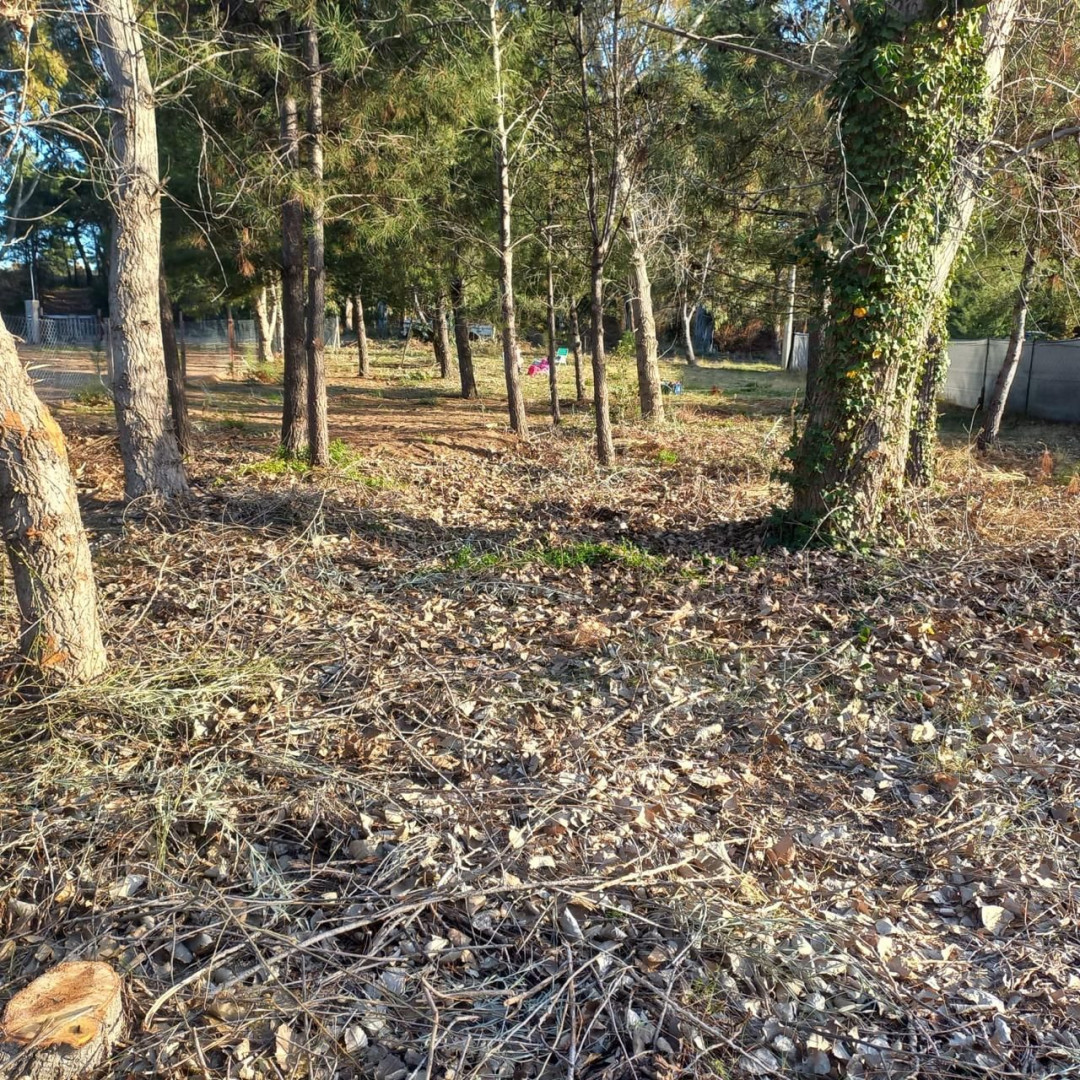 Terreno en Venta en Calle 8 Entre 9 Y 11, Pehuen Co,  Pehuen Co - Bahía Blanca Propiedades | SITIO OFICIAL l