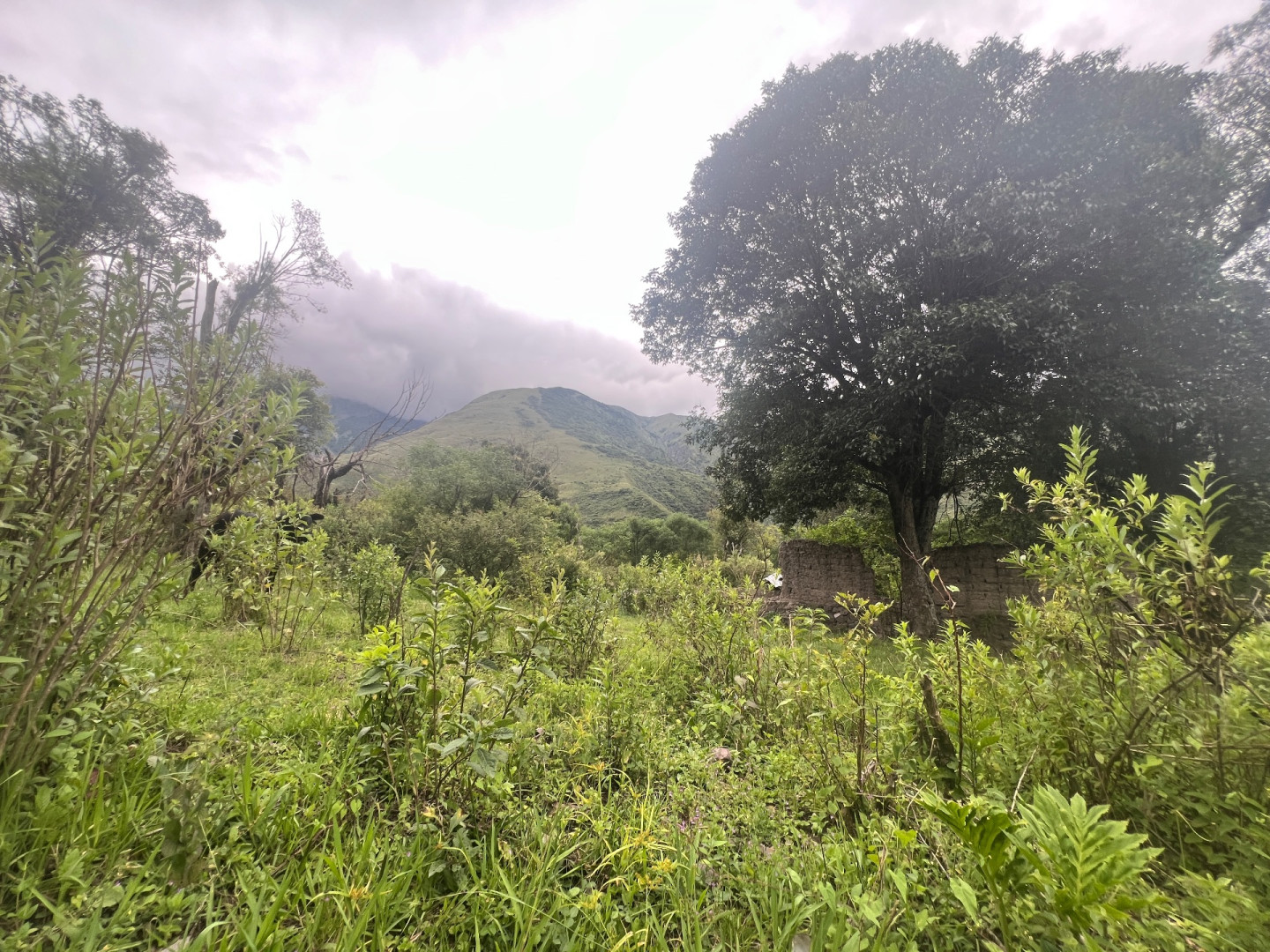 Terreno en Venta en Barcena,  Tumbaya - Jujuy - Bahía Blanca Propiedades | SITIO OFICIAL l