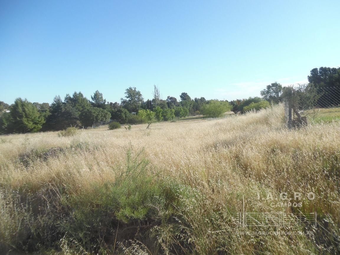 Terreno en Venta en Crespi Valls 3700, Villa Belgrano, Bahía Blanca - Bahía Blanca Propiedades | SITIO OFICIAL l
