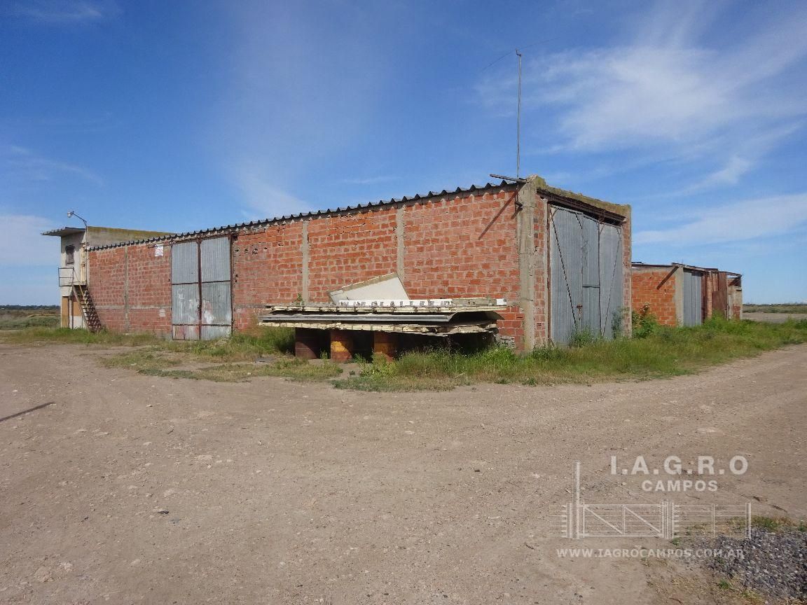 Galpón en Venta en Sussini Y Lugones,  General Cerri - Bahía Blanca Propiedades | SITIO OFICIAL l