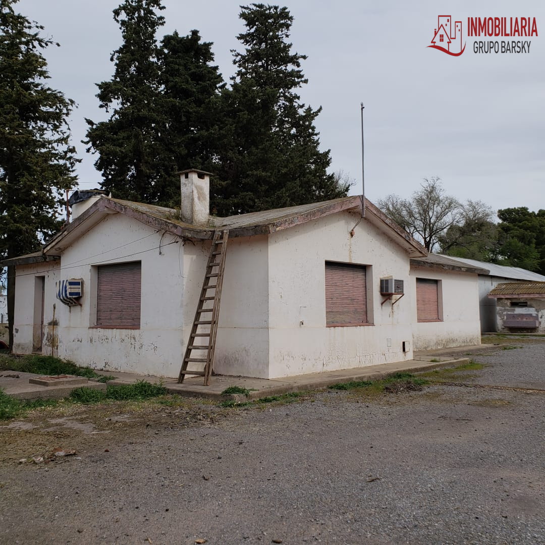 Campo  en Venta   Coronel Dorrego - Bahía Blanca Propiedades | SITIO OFICIAL l