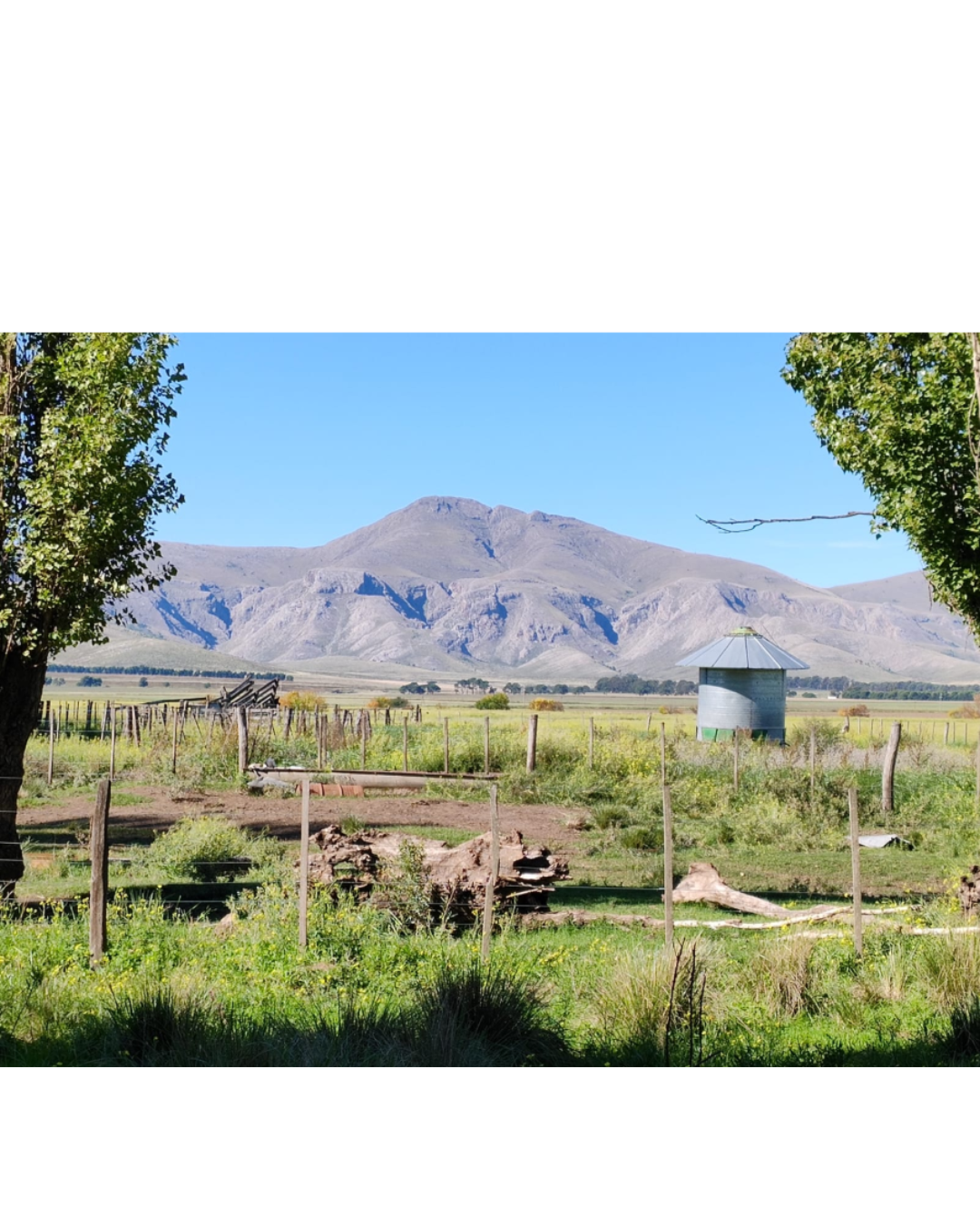Campo  en Venta - Bahía Blanca Propiedades | SITIO OFICIAL l