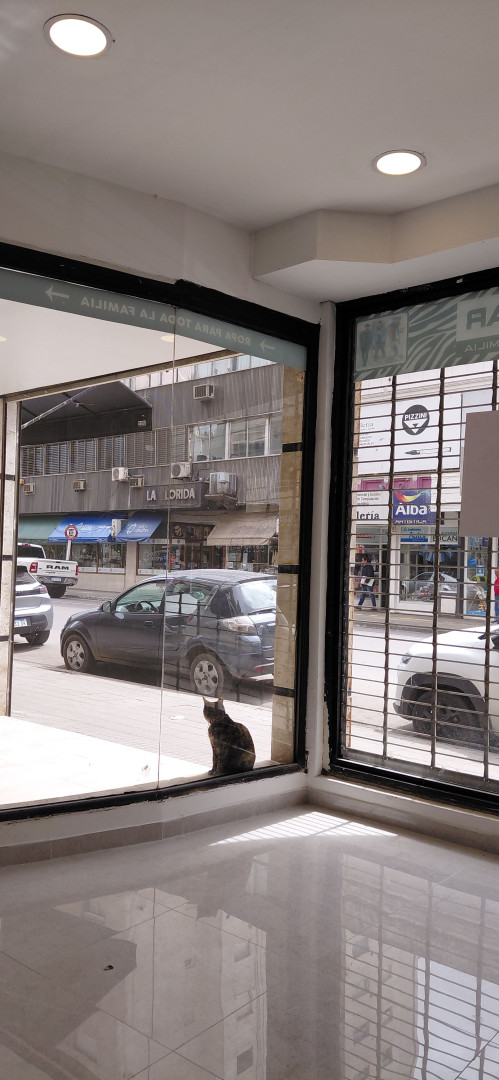 Local en Alquiler en San Martín 129, Centro, Bahía Blanca - Bahía Blanca Propiedades | SITIO OFICIAL l