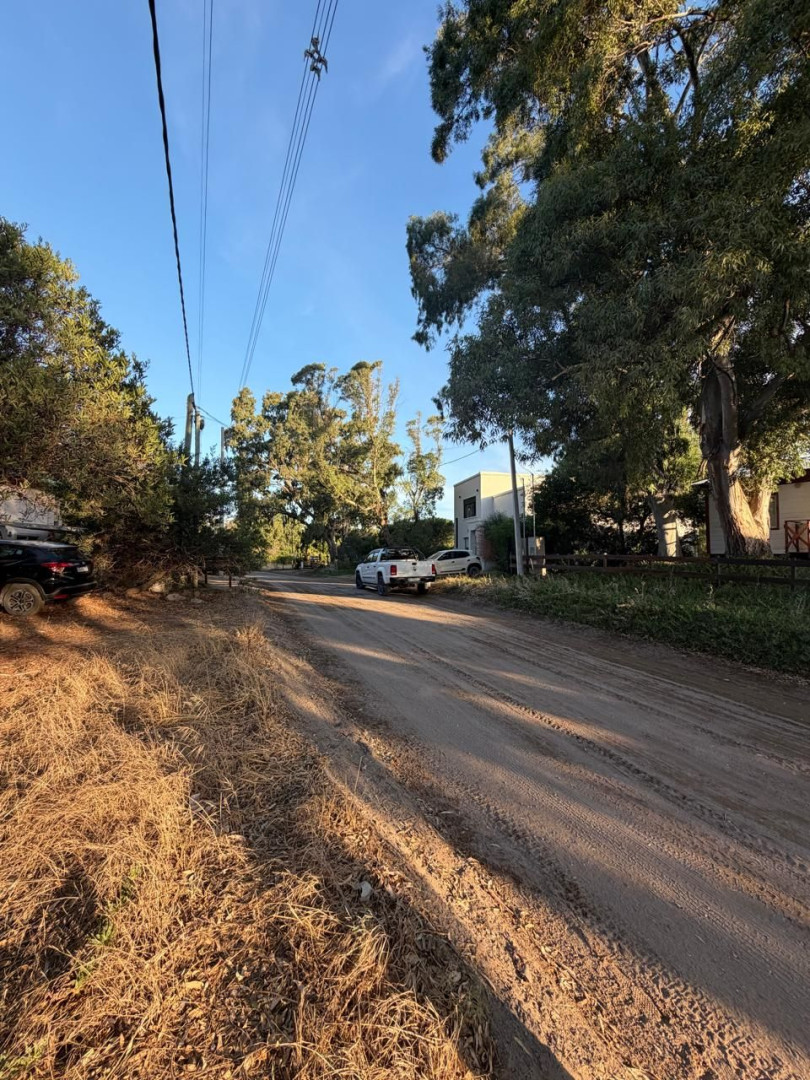 Terreno en Venta en Puleston Entre Los Alamos Y Aladino, El Sauce, Monte Hermoso - Bahía Blanca Propiedades | SITIO OFICIAL l