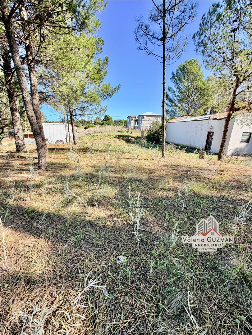 Terreno en Venta en La Rioja Y Río Salado, Dufaur, Monte Hermoso - Bahía Blanca Propiedades | SITIO OFICIAL l