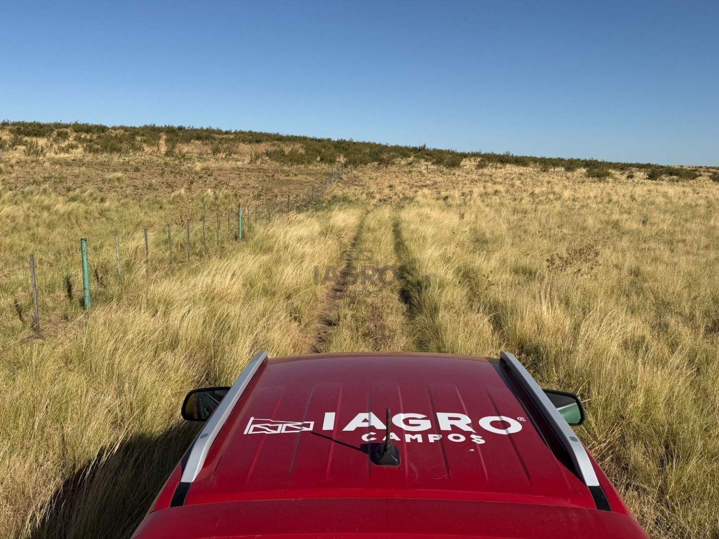 Campo  en Venta en Nueva Roma,  Tornquist - Bahía Blanca Propiedades | SITIO OFICIAL l