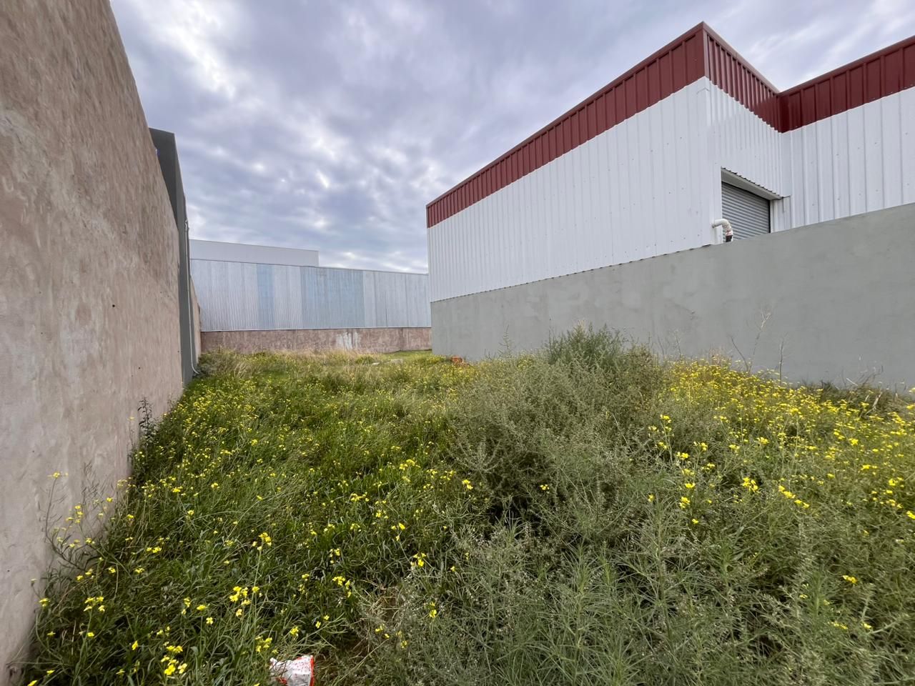 Terreno en Venta en Leonidas Lucero Y Indio, Los Olivos, Bahía Blanca - Bahía Blanca Propiedades | SITIO OFICIAL l