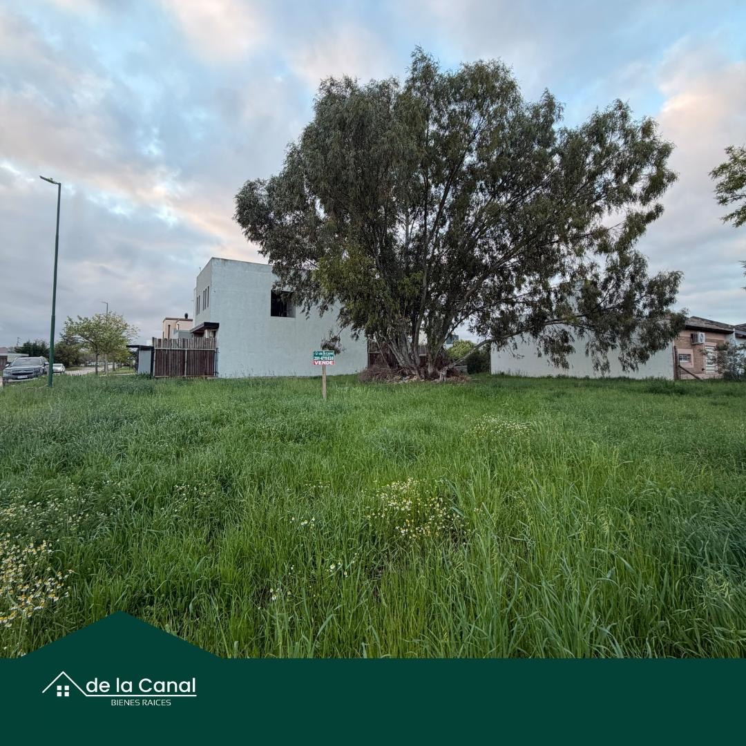 Terreno en Venta en Boyero Esquina Laudelino Cruz, Las Acacias, Bahía Blanca - Bahía Blanca Propiedades | SITIO OFICIAL l