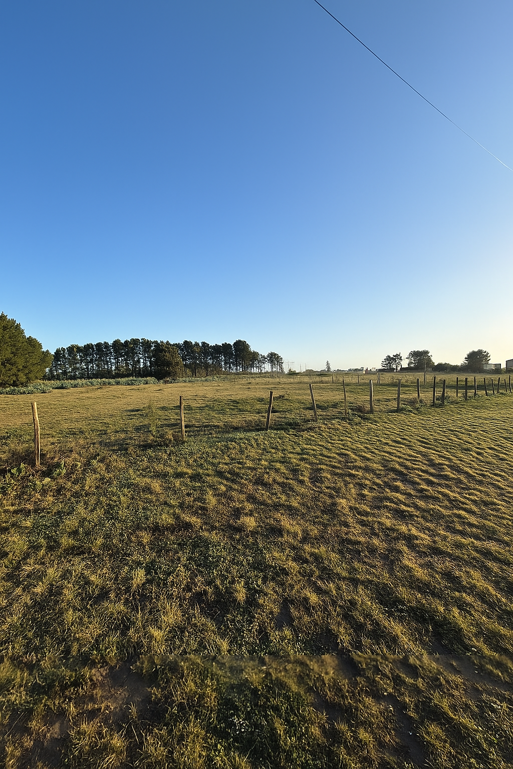 Terreno en Venta en Barrio San Carlos - Rigamonti Entre Crespi Valls Y Erize, San Carlos, Bahía Blanca - Bahía Blanca Propiedades | SITIO OFICIAL l