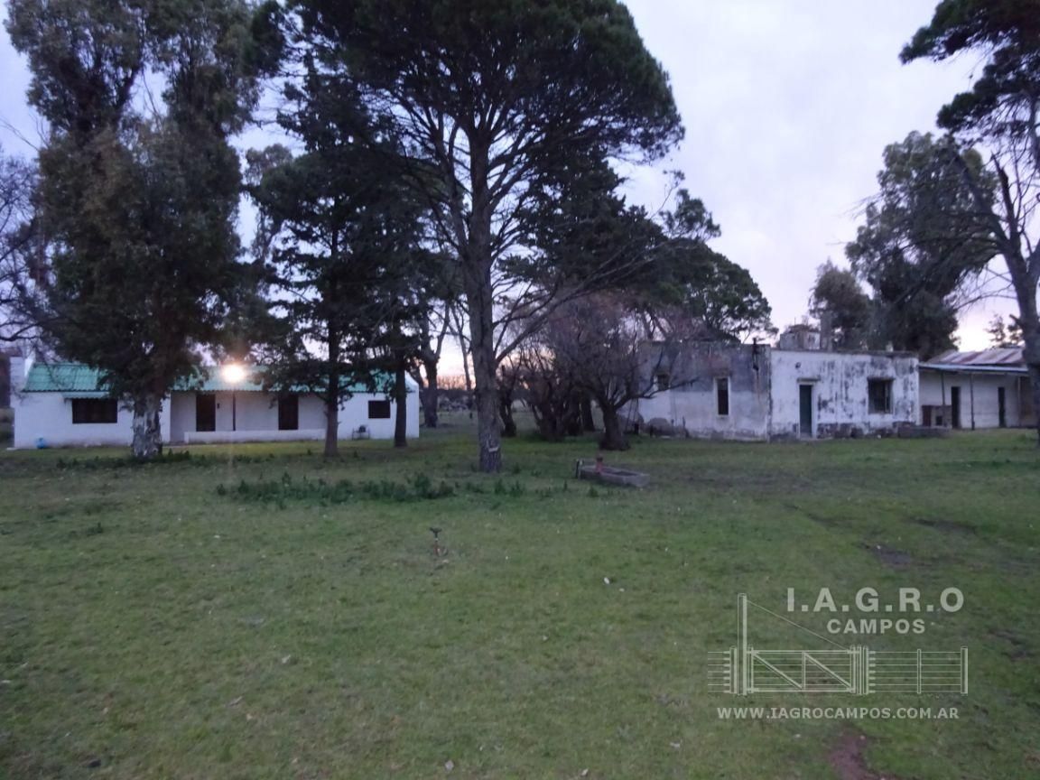 Campo  en Venta en Villarino,  Villarino - Bahía Blanca Propiedades | SITIO OFICIAL l