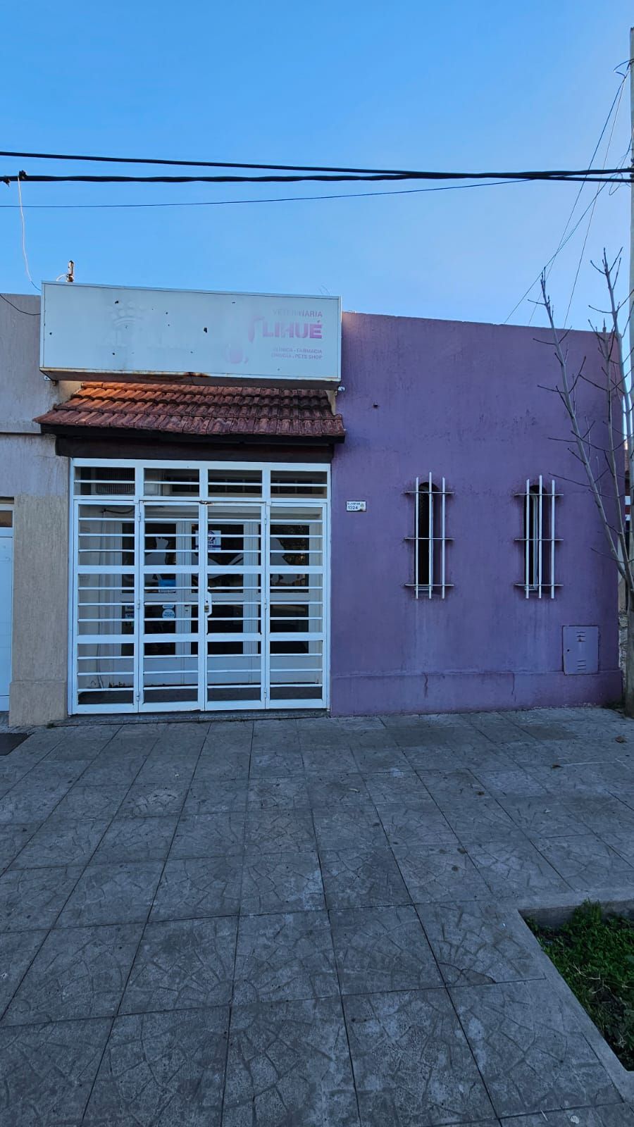 Local en Alquiler en Sixto Laspiur 1324, Macrocentro, Bahía Blanca - Bahía Blanca Propiedades | SITIO OFICIAL l