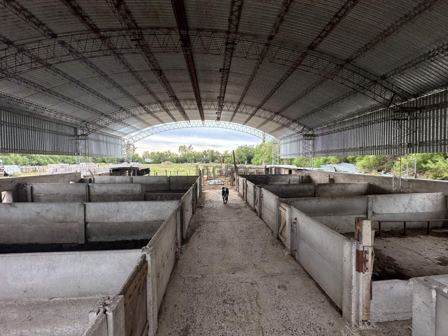 Campo  en Venta en Ruta 3,  Bahía Blanca - Bahía Blanca Propiedades | SITIO OFICIAL l