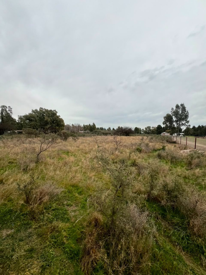 Terreno en Venta en Teresa Asencio 500, Los Chañares, Bahía Blanca - Bahía Blanca Propiedades | SITIO OFICIAL l