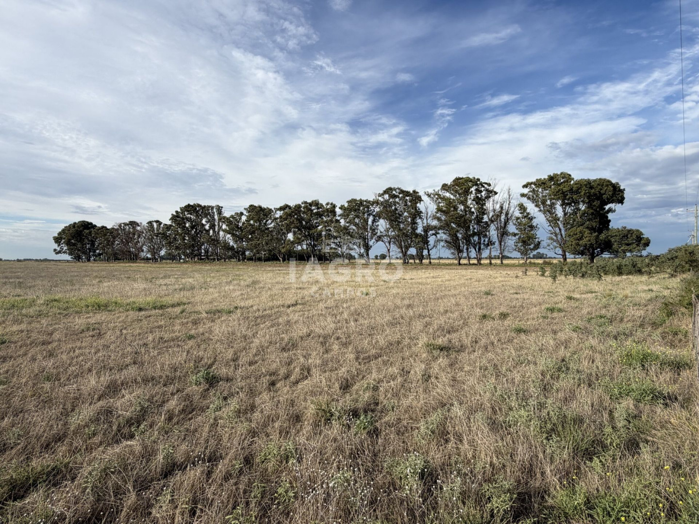 Campo  en Venta en Mayor Buratovich,  Mayor Buratovich - Bahía Blanca Propiedades | SITIO OFICIAL l