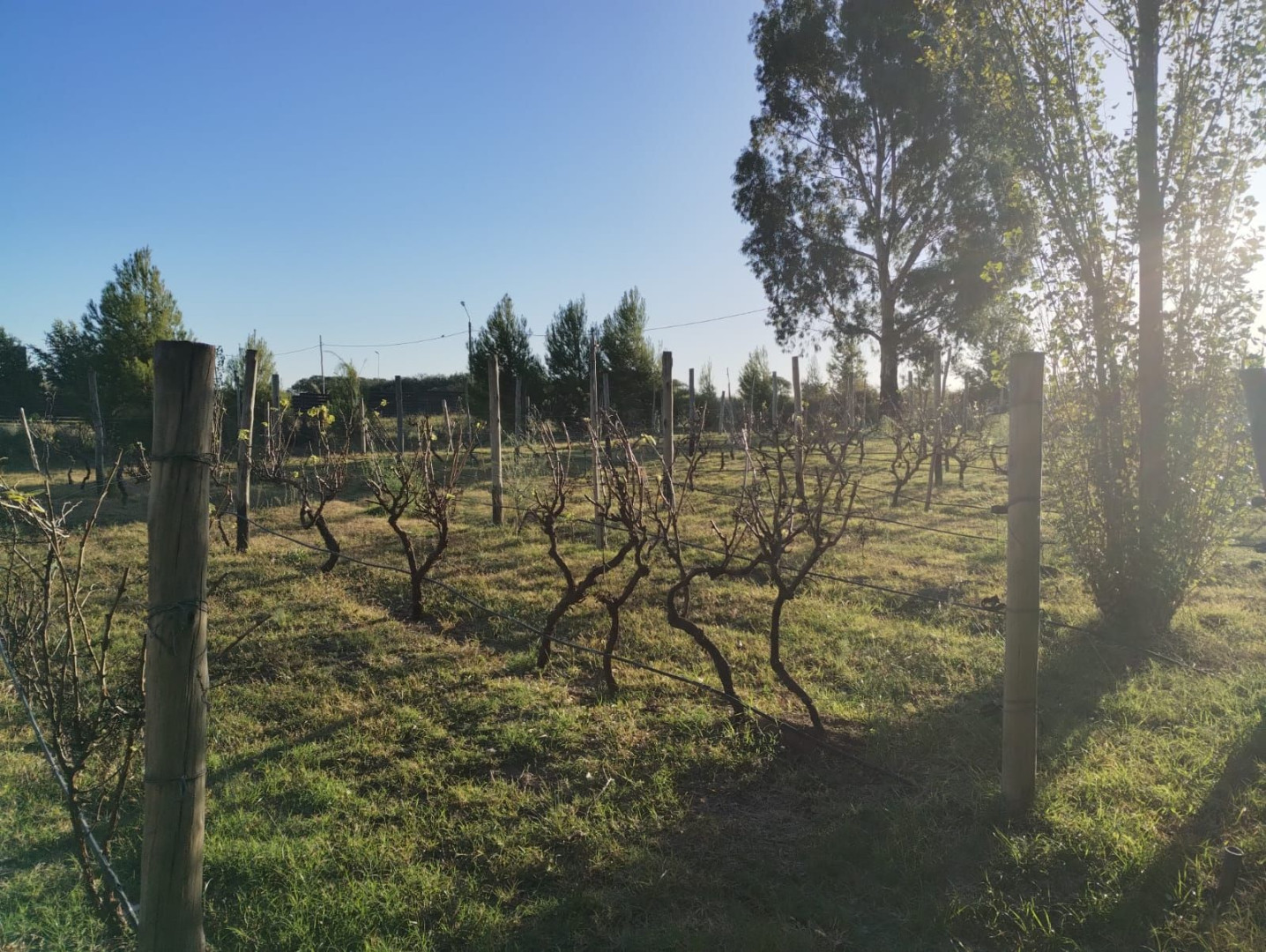 Terreno en Venta en Ciudad De Cali Y La Rastrillada,  Bahía Blanca - Bahía Blanca Propiedades | SITIO OFICIAL l