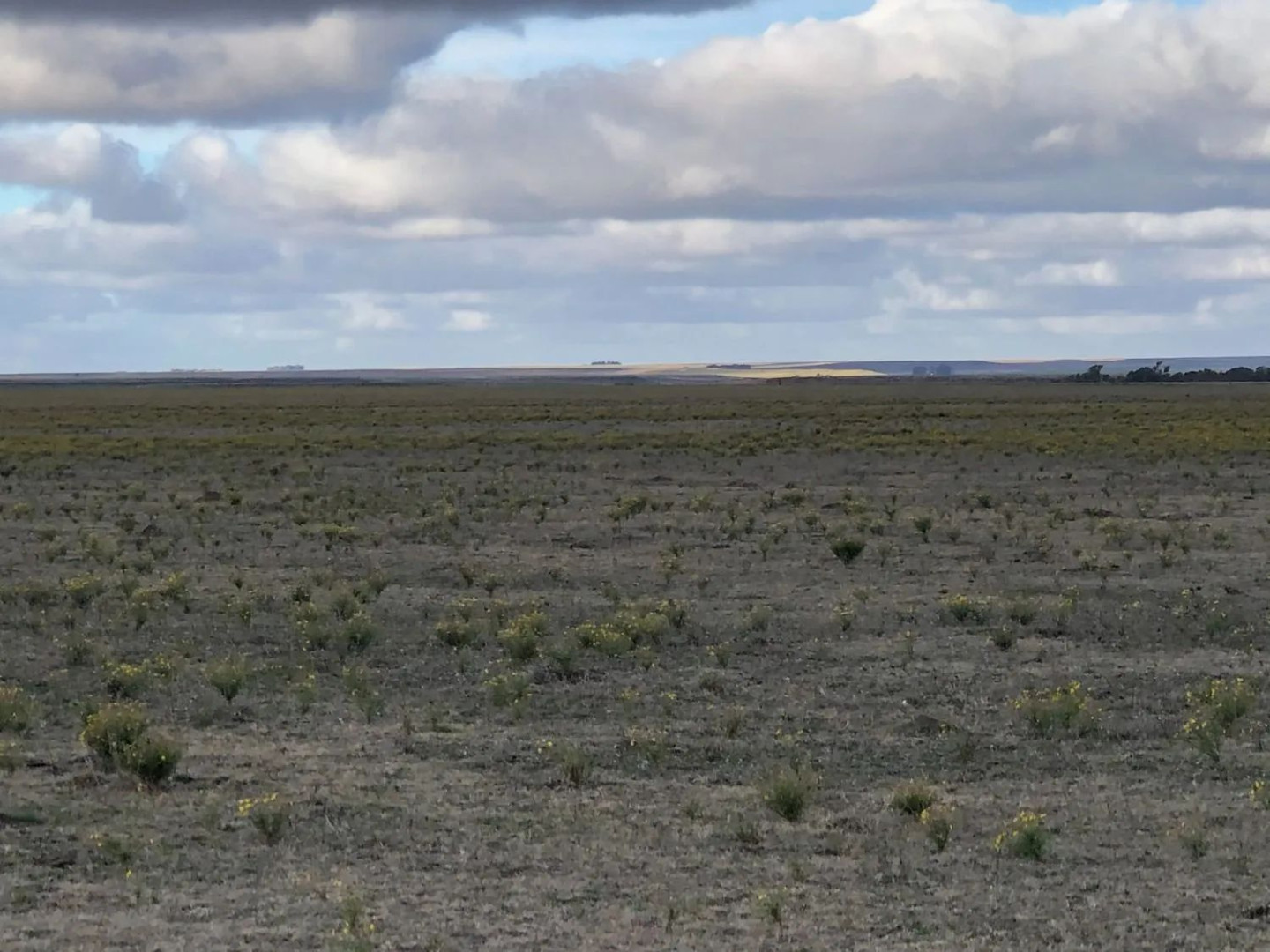 Campo  en Venta en Coronel Dorrego,  Coronel Dorrego - Bahía Blanca Propiedades | SITIO OFICIAL l