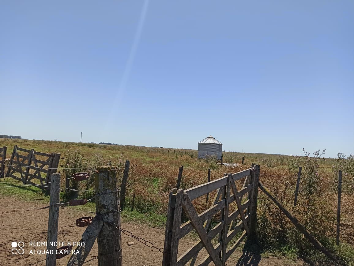 Campo  en Venta - Bahía Blanca Propiedades | SITIO OFICIAL l